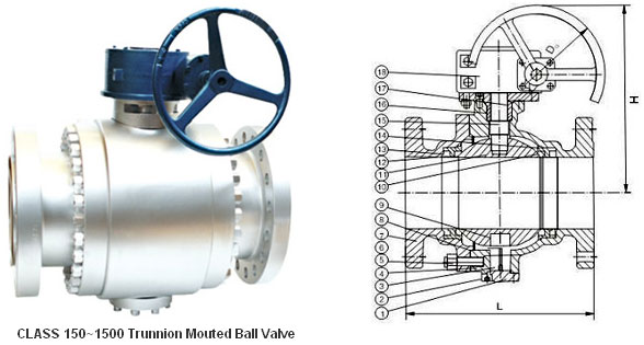 Class 150~1500 Trunnion Mounted Ball Valve 