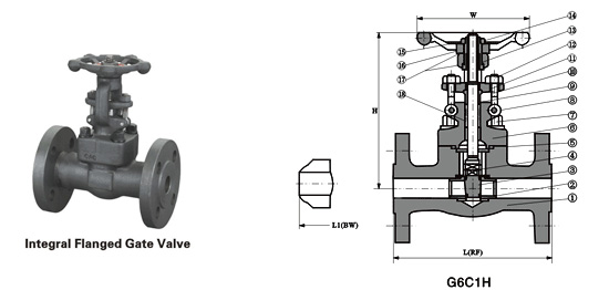 Class 150~1500 Forged Steel Flanged End Gate Valve