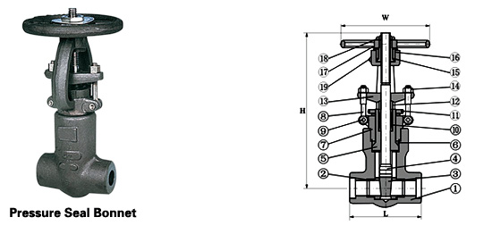 Class 900~2500 Forged Steel Pressure-Seal Globe Valve