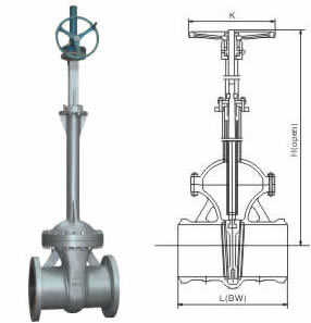 Class 150~600 Cast Steel Bellows Gate Valve 