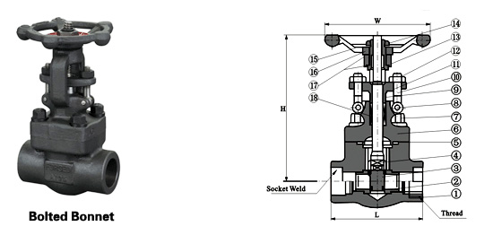 Class 150~1500 Forged Steel Bolt Gate Valve