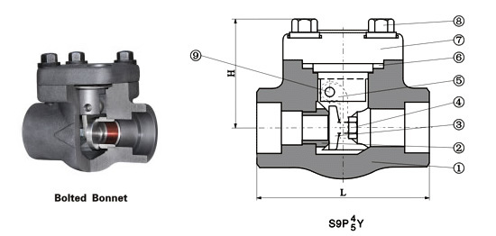 Class 800~1500 Bolt Type Swing Check Valve